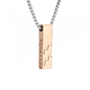 J4 Zodiac pendant ,solid stainless steel in IP rose. 