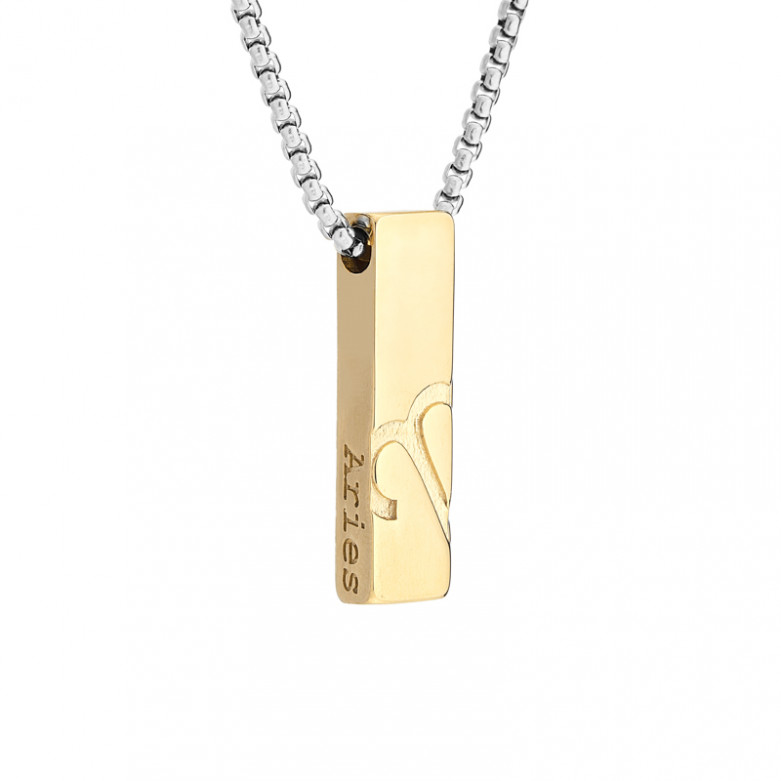 J4 Zodiac pendant ,solid stainless steel in IP gold.