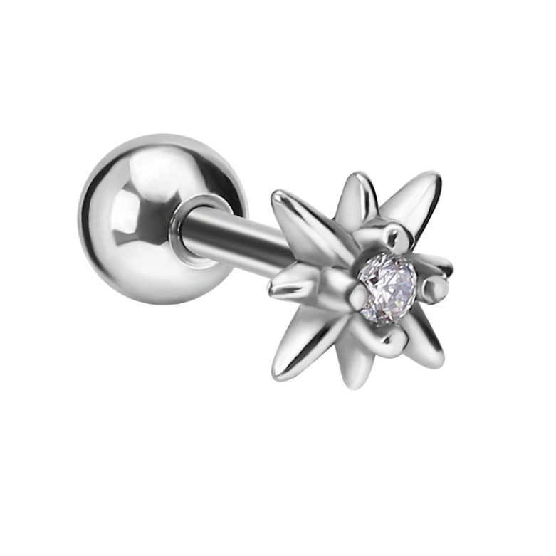 Stainless steel single star stud