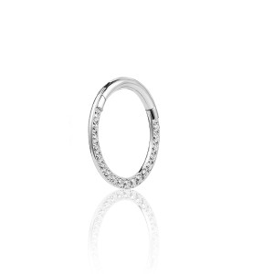 Stainless steel 10 mm micro setting Stainless steel earring/nose ring