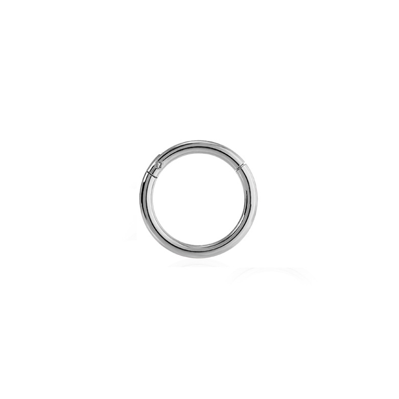 Stainless Steel 8mm segment clicker ,single nose/earring