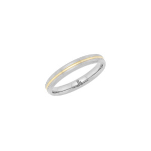 J4 Titanium. Two-tone 3mm band