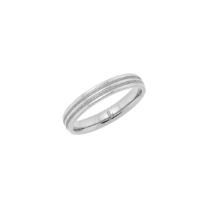 J4 Titanium 4mm matt /polished striped band